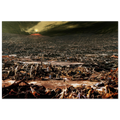 32e1b680-2af0-4837-8bc8-209e905fe6b8