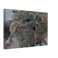 69002853-001b-4b96-b988-89018bfe6268