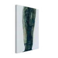 6c7e3c8b-4454-4a02-9f1d-1ae674d6e07b