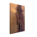 a874c06c-7d54-4272-a296-cb88f419dd69