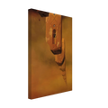 d480f8ad-3587-48bc-be9a-9a443c4d406d